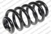 LESJ?FORS 4204281 Coil Spring